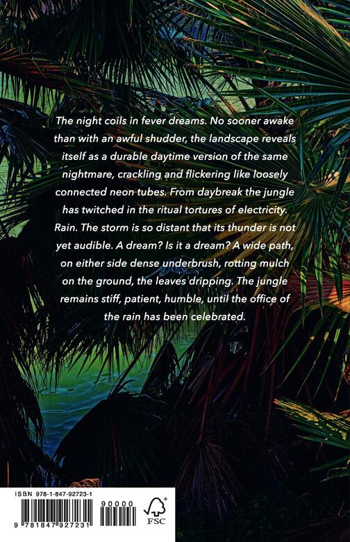 The Twilight World - Afbeelding 2