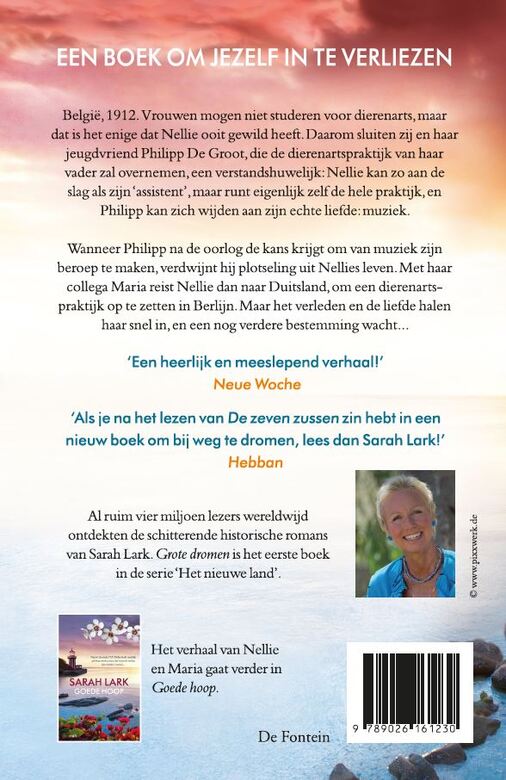 Grote dromen - Afbeelding 2