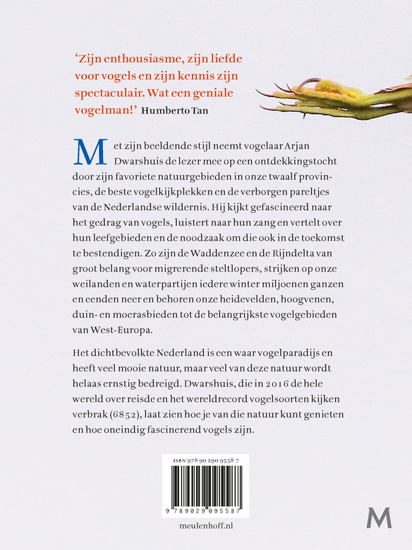 Zomergasten, doortrekkers en overwinteraars - Afbeelding 2