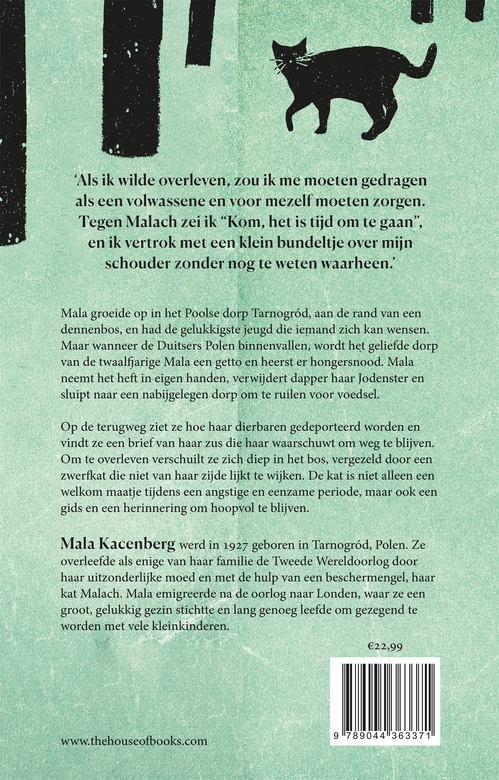 Het meisje, de kat en het bos - Afbeelding 2