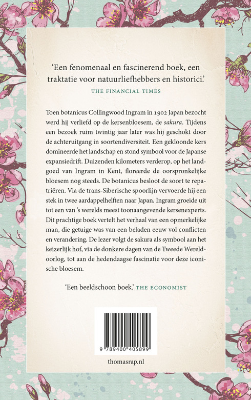Sakura - Afbeelding 2