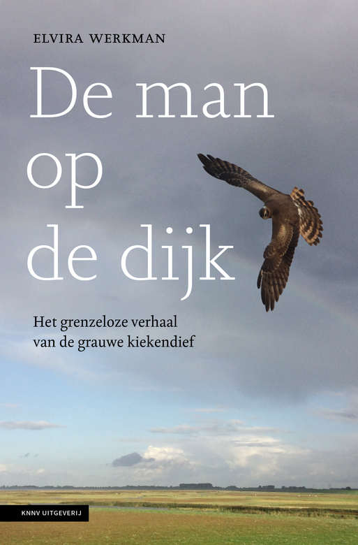 De man op de dijk