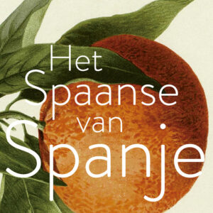 Het Spaanse van Spanje