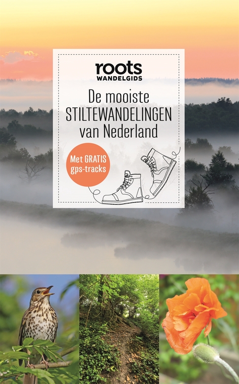 De mooiste stiltewandelingen van Nederland