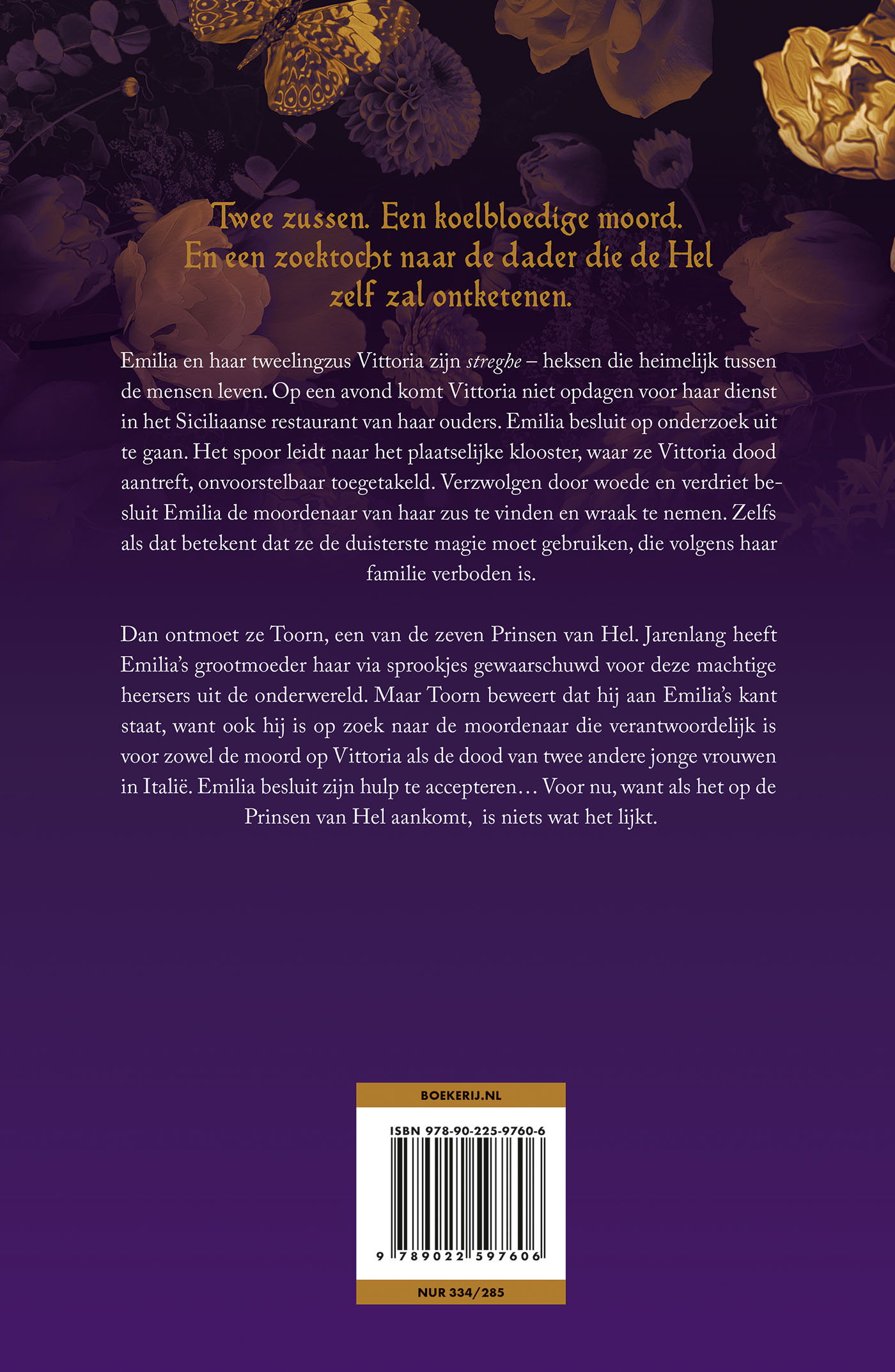De prins van Toorn - Afbeelding 2