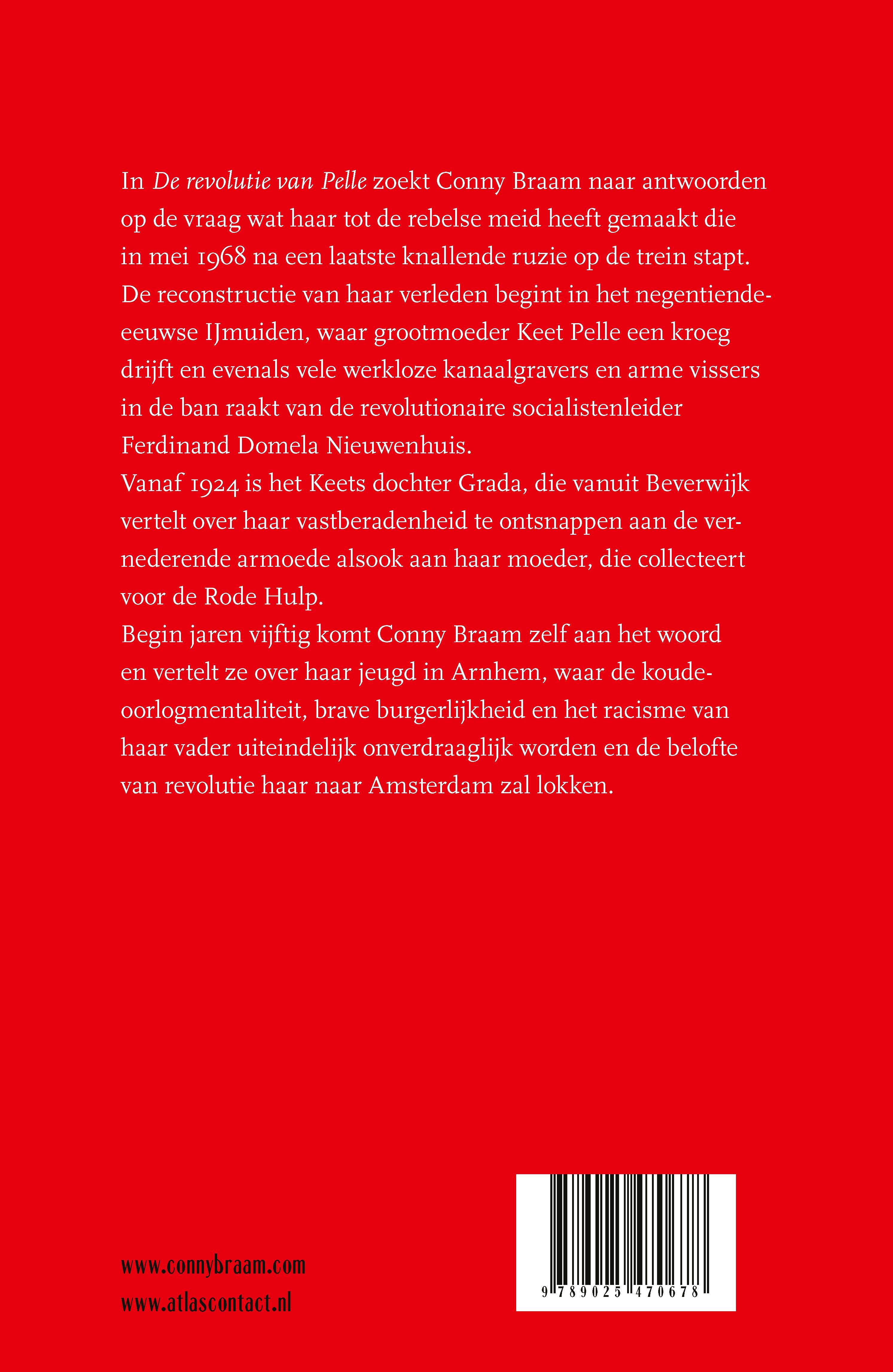 De revolutie van Pelle - Afbeelding 2