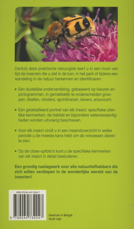 Insecten - Afbeelding 2