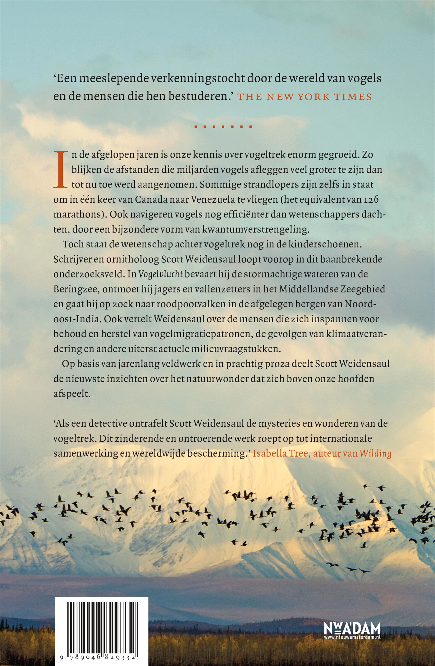 Vogelvlucht - Afbeelding 2