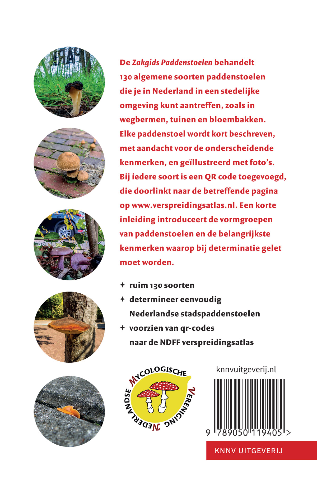 Zakgids paddenstoelen - Afbeelding 2