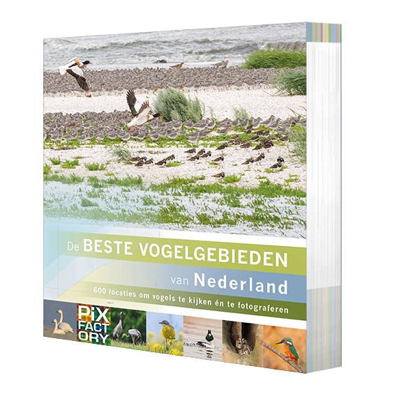 De beste vogelgebieden van Nederland